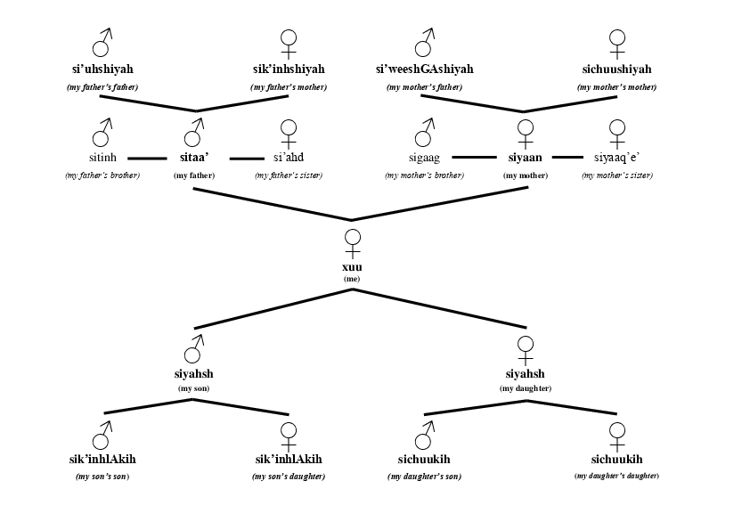 file type icon